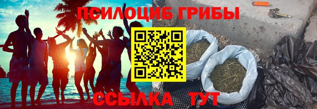 Ставрополь  Псилоцибиновые грибы Magic Shrooms  Вход с VPN 