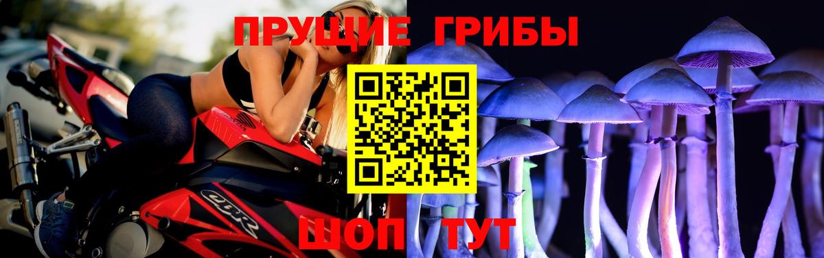 Галлюциногенные грибы MAGIC MUSHROOMS Ставрополь