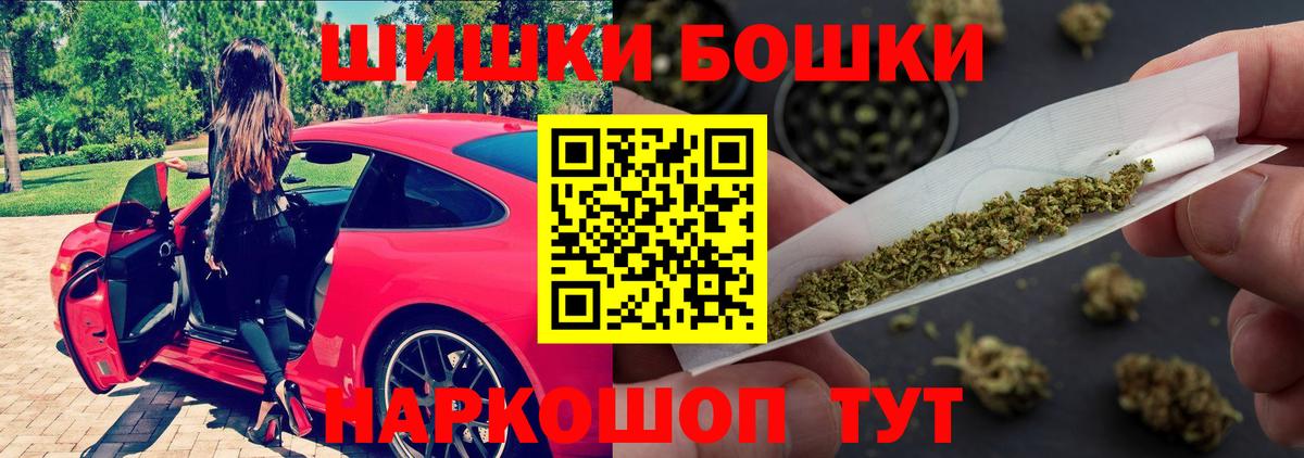 МАРИХУАНА сатива Ставрополь